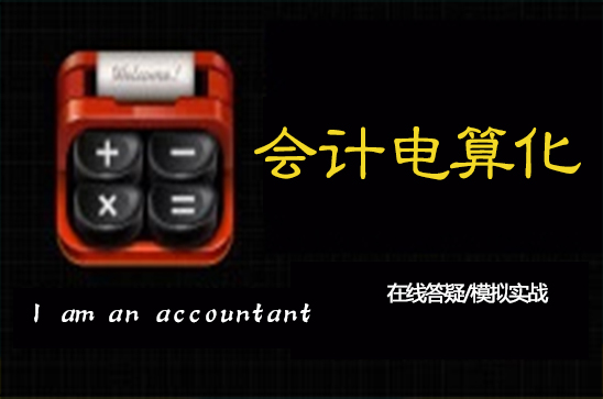 会计电算化