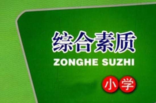 小学综合素质